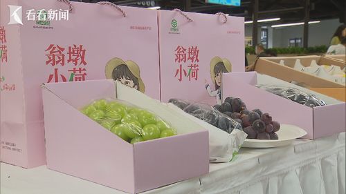 上海市場牽手六安產品 六安農旅滬上文化節開幕 文化用品